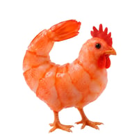 ShrimpWifLegs