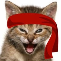 Red Kitten Crew