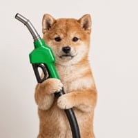 PUMP logo