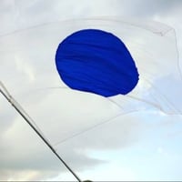 One World Flag logo
