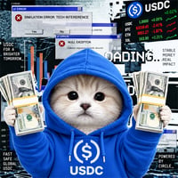 USDC PUMP CAT