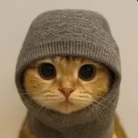 Sock & Pussy 500
