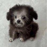 deg