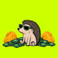 Hedgies