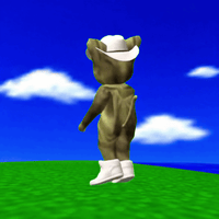 Gato Donato