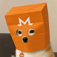Mysterious Inu