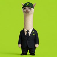 LOONGCAT