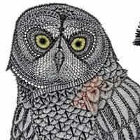 Logo de Superintelligence Owl