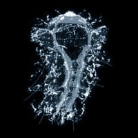 BRAINWORM
