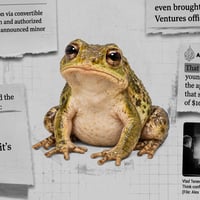 CashFrog