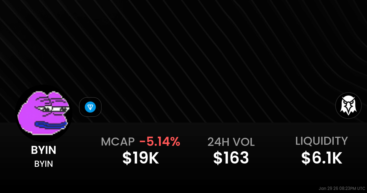 BYIN $0.0₄3407 - BYIN / TON on TON / STON.fi - DEX Screener